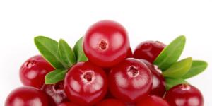 Receita simples de molho de cranberry