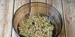 Komposto rrush pa fara e bardhë pa sterilizim për dimër Receta për komposto me rrush pa fara të bardhë për dimër