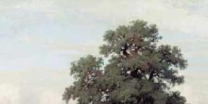 Eiche ist ein mächtiger Baum, ein Symbol enormer Vitalität,...: mettiss – LiveJournal